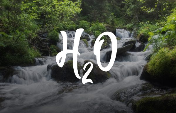 carboniques_el_trebol_aigua_02