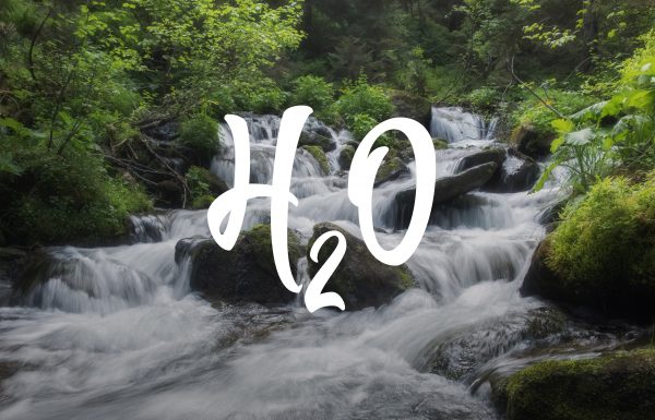 carboniques_el_trebol_aigua_03